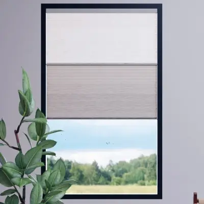 Curtains & Blinds